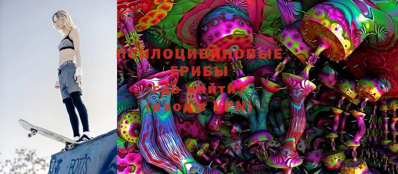 Псилоцибиновые грибы Psilocybine cubensis  Нариманов 